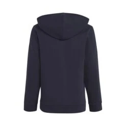 ADIDAS Colorblock 3-Stripes Hoody Boys -Tennis Equipment Store 18064000 0 2