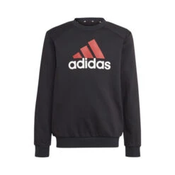 ADIDAS Big LogoTS Sweatshirt Boys 14 ADIDAS Big LogoTS Sweatshirt Boys -Tennis Equipment Store 18625000 10